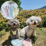 강아지외출복 실내복 산책옷 바람난 꽃나시 S