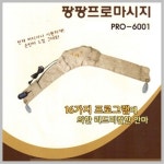 프로텍메디칼 PRO-6001