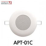 인터엠 인터엠 APT-01C