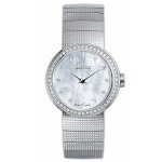 DIOR CD041111 M003 실버