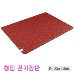 청림 전기장판