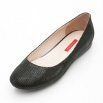 세라 S12P556