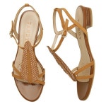 탠디 73127N_003 브라운