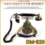대명전자통신 DM-920