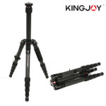 킹조이 킹조이 C-1229B