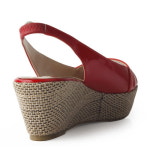 세라 S14S021