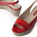 세라 S14S021