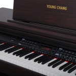 영창 영창 KWP-20R