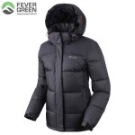 피버그린 MTWKDPC9101