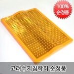 고려수지침학회 발판지압 C형