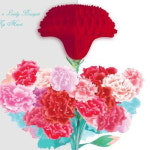 노화꽃집아이컴 | 유리컴 유리컴 허니콤 감사 Bouquet