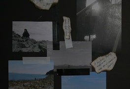 다운(Dvwn) - Phobia 리뷰