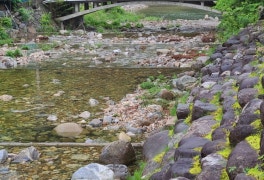 7월의 첫날 50대 40대 코로나 접종