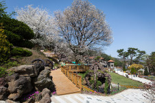 사계절 축제가 있는 아름다운 '화수목정원'