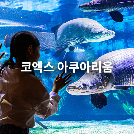 코엑스 아쿠아리움 입장료 최대 30% 할인 및 주차 팁 1 ?src=https%3A%2F%2Fditto