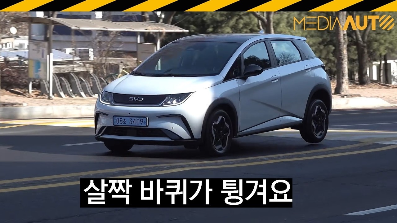 2026 BYD 돌핀 : 네이버 자동차 : 네이버 자동차