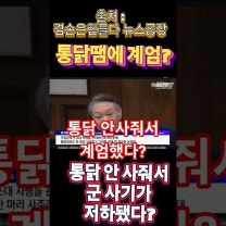 "통닭 사줄 돈 안줘서 계엄?" 윤석열 대통령의 황당한 계엄 사유 분석 (현장 음성 포함), 욕 할 땐 언제고 ㅋㅋ #윤석열 #통닭 #계엄원인 #내란재판