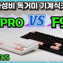 미친 가성비 독거미 키보드 AULA F87 PRO vs F99 기계식키보드 골라봐!