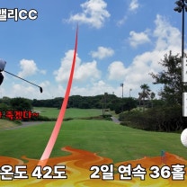 체감온도 42도 날씨에 2일 연속 18X2=36홀 라운드 / 볼빅 콘도르 s3 s4 /라운드중 멘탈 잡는법/ 제주도 테디밸리