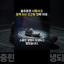 음주운전 사망사고 징역 6년 선고된 진짜 이유 (이슈딸깍)