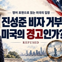 진성준 비자 거부, 미국의 경고인가? ‘Refused’에 담긴 뜻