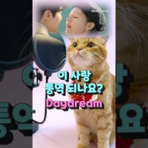 베니의 ‘이 사랑 통역 되나요?’ OST “Daydream”- 웬디 cover by Benny the Cat #shorts