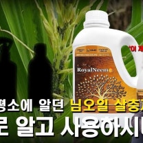 배추.무우.고추밭에 꾸준히 뿌려주면 진딧물.응애.청벌레 농약 없이도 농사가 쉬워집니다 천연살충제 유기농살충제 텃밭벌레퇴치