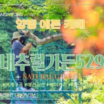 경기도 양평 계곡 카페 레스토랑 애견 동반 가볼만한곳 내추럴가든529