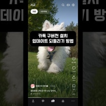 카톡 카카오톡 구버전 다운그레이드 방법, APKpure 다운로드 설치