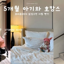 5개월 아기와 신라호텔 호캉스 with 스토케 요요3 휴대용유모차 추천