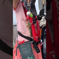9월 쭈꾸미낚시 시작! 인천 배낚시에서 잡는 재미에 푹 빠졌어요🎣🦑