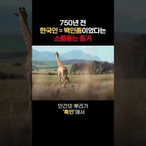 한국인은 사실 백인보다 하얗다?! #역사 #책추천 #책 #궤도