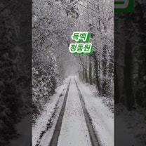 독백 정동원 #우주총동원 #국민손자 #트롯신동 #정동원독백 #케니정 #JD1 #트로트왕자