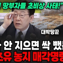 "당장 농사 안 지으면 땅 뺏긴다" 농지 강제 매각 명령 (대박땅꾼 전은규 소장 / 4부)