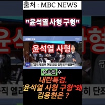 "윤석열 사형" 내란특검 윤석열에 사형은 구형한 이유는? 그렇다면 김용현은 ? #내란특검 #결심공판 #사형구형 #무기징역 #김용현