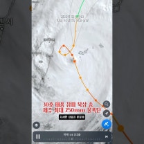 🌪 30호 태풍 참피 북상 중 제주에 최대 250mm 폭우 예보