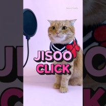 베니의 JISOO (지수) - "CLICK" cover by Benny the Cat #shorts