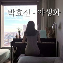 박효신 야생화 피아노 연주 Park Hyo Shin : Wild Flower Piano Cover