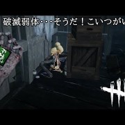 適切な Dbd ナース さかななみ