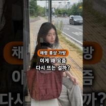 "K팝 대세 아이돌"이 다시 꺼냈다.. 채령 롱샴 가방 유행 지속