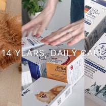 14살 강아지 콩지가 매일 먹는 영양제💊 | 내돈내산 (묘견서, 액티베이트, 오메가3, 유산균)