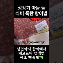 25000원 소고기 배부르게 먹이기 코스트코 다짐육 또띠아 와퍼 식비절약 4인가구