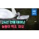 [영상] 천연기념물이 태어났다…귀한 백조 한국산 '큰고니'를 아시나요?