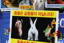 ‘고통E등급‘ 동물실험