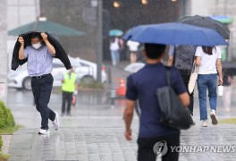 수도권 소나기에 천둥·번개도…"우산 챙기세요"