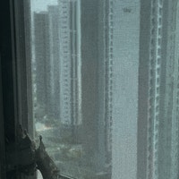 성남 아파트 창문에 대낮 박쥐 출현 '깜짝'…