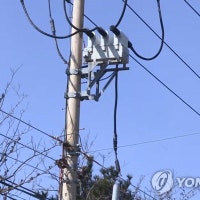 울산 구영리 일대 900여가구 한때 정전…나뭇가지가 전선덮쳐