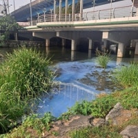 광주천에 아파트 도색공사 페인트 유출…수질 검사 의뢰(종합)