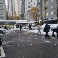 단톡방 보고 안내방송 듣고 나온 아파트 주민들…제설에 한마음