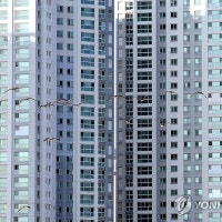 아파트 사이로 나는 겨울 철새